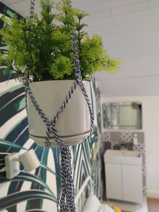 Sea Bed Guesthouse نيوكويي المظهر الخارجي الصورة
